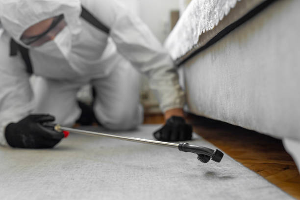 Professional Cockroach Control technician working in Dickinson County County, IA